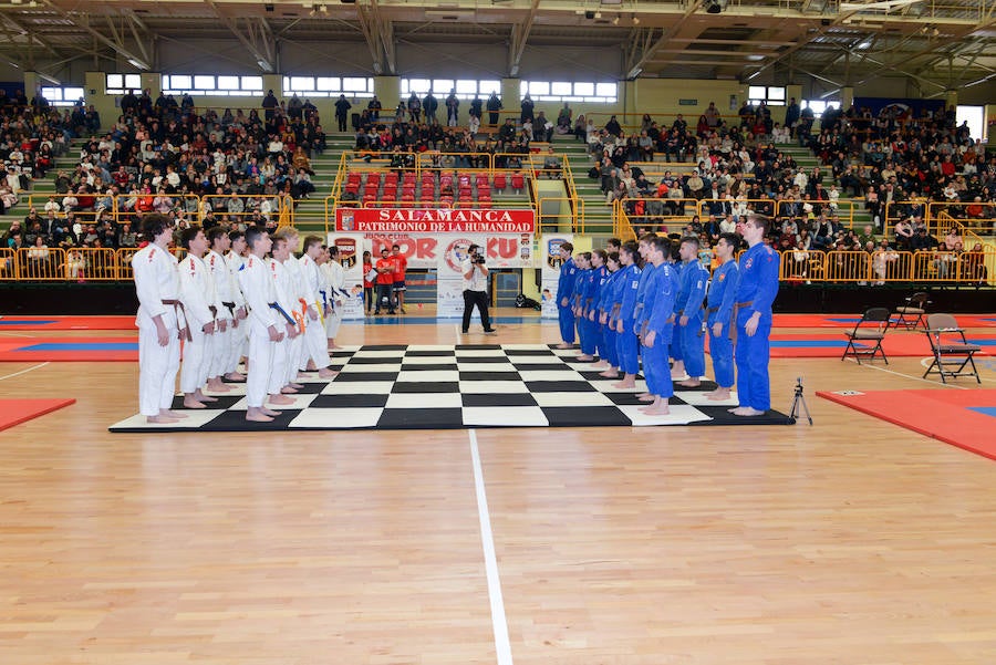 Fotos: Fiesta del judo en Salamanca