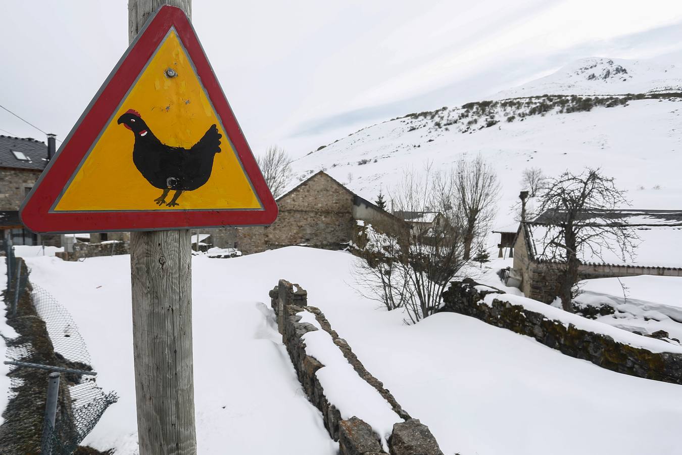 Fotos: Nieve en la localidad leonesa de Torrestío