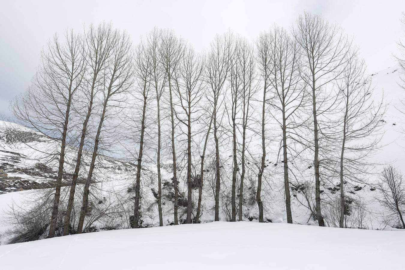 Fotos: Nieve en la localidad leonesa de Torrestío