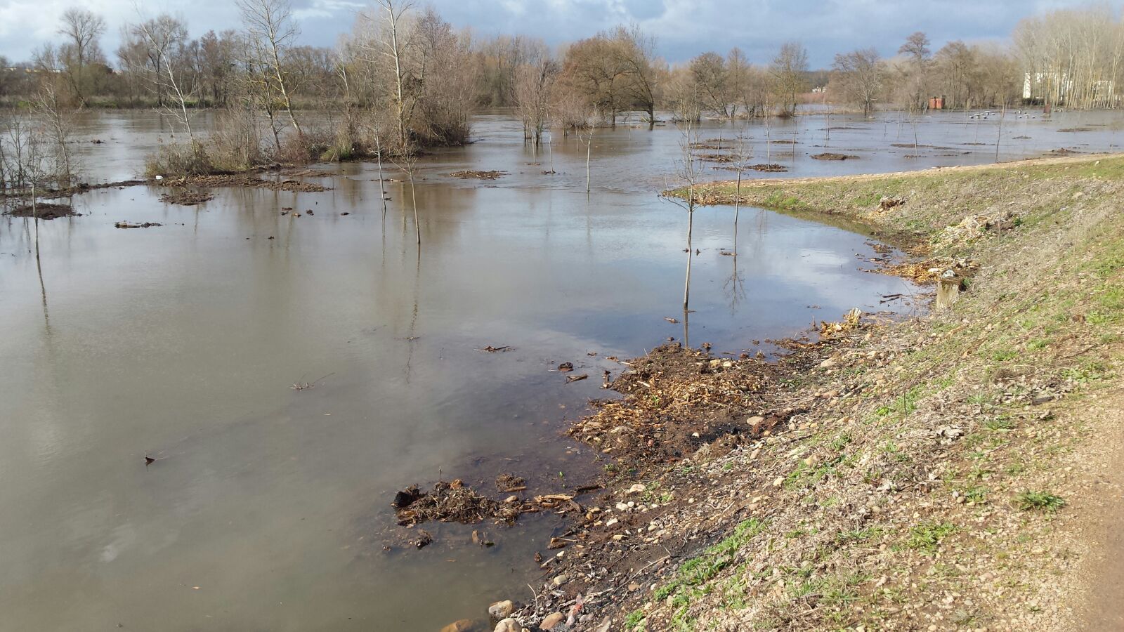 Las fuertas lluvias registradas en las últimas horas en buena parte de la cuenca del Duero han provocado que los ríos Bernesga, Támega, Tera y Tormes se encuentran en situación de alarma por aumento de caudal con riesgo de avenidas.