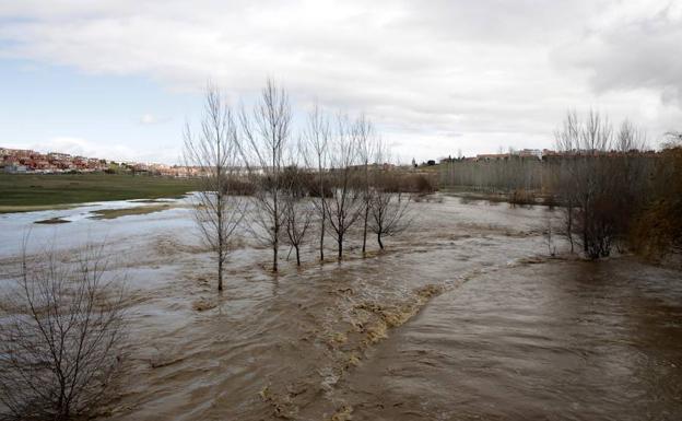 Imagen de el arroyo de El Zurgén, en la capital salmantina, completamente desbordado.