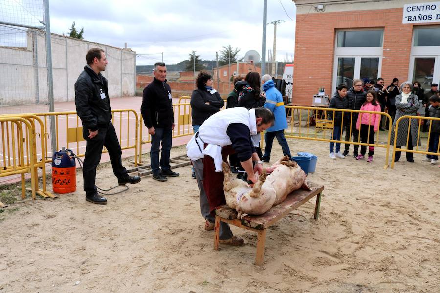 Fotos: Jornada de la matanza del cerdo en Baños de Cerrato