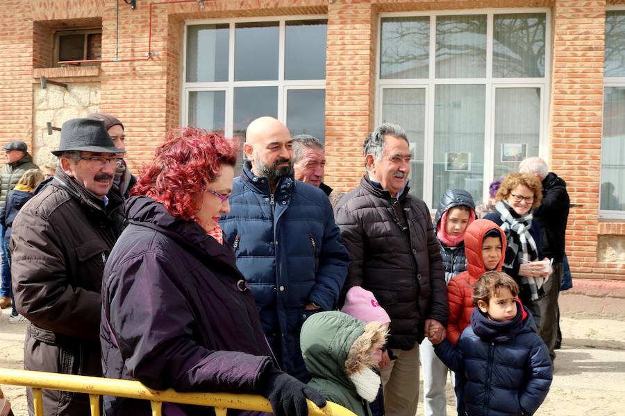 Fotos: Jornada de la matanza del cerdo en Baños de Cerrato