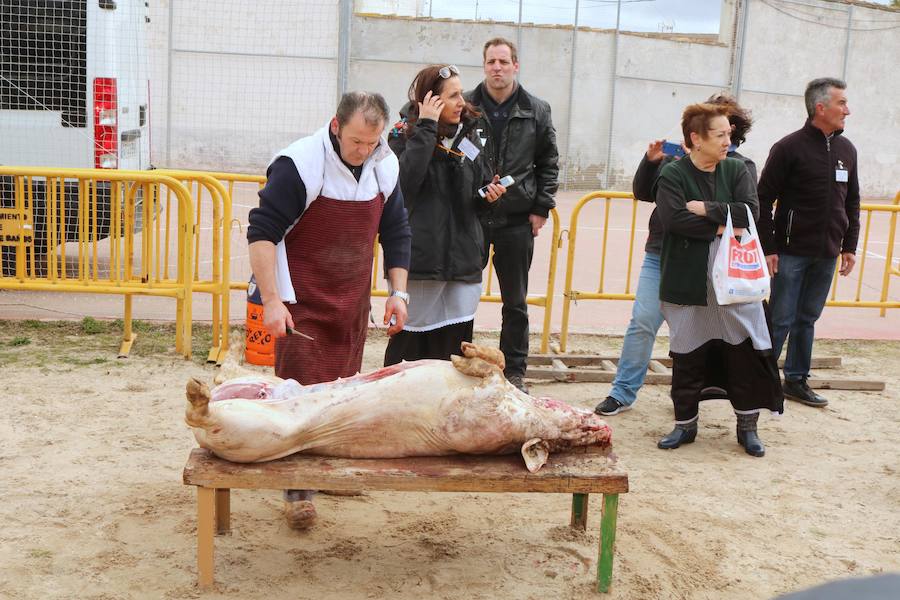 Fotos: Jornada de la matanza del cerdo en Baños de Cerrato