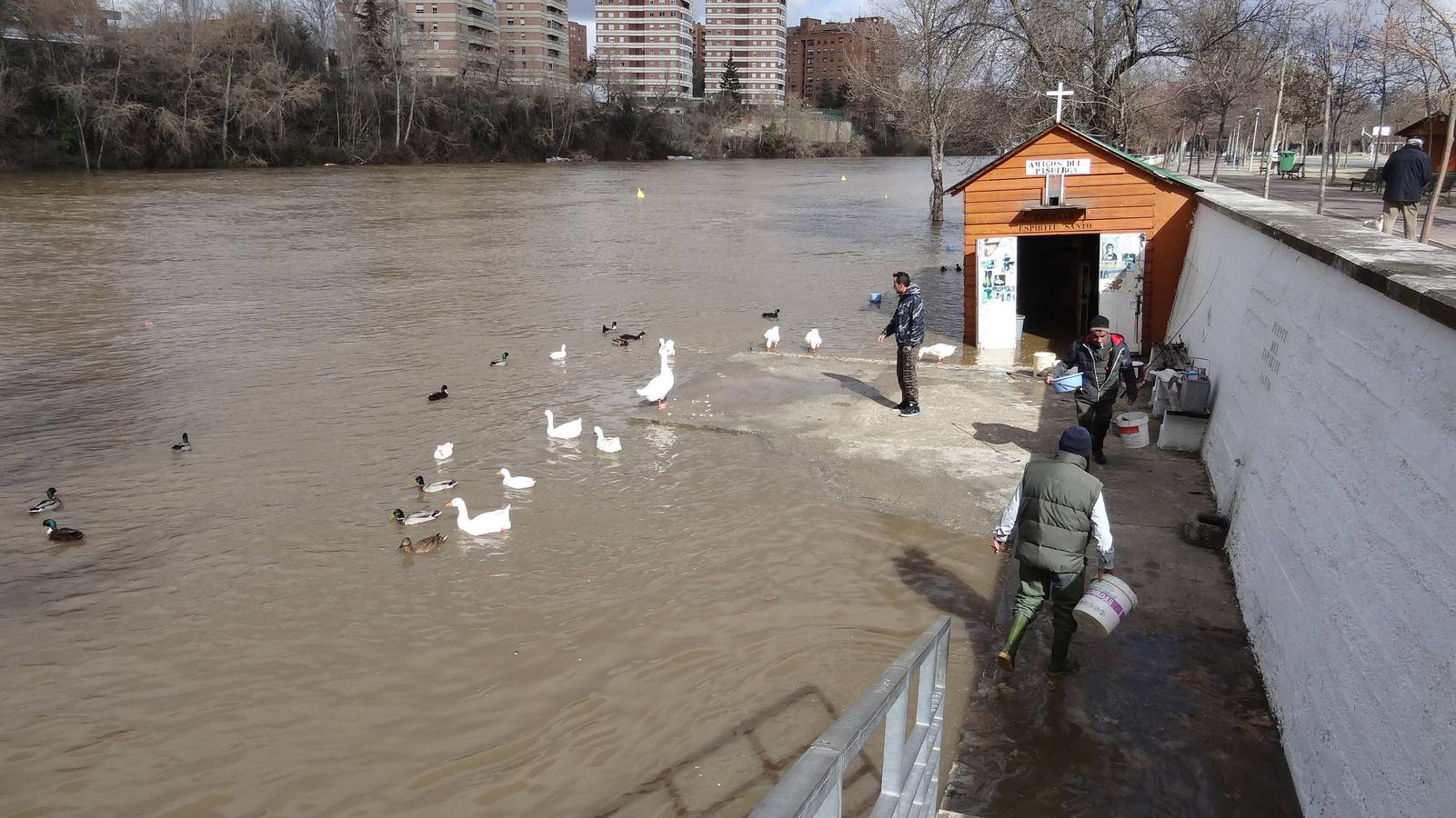 El río a su paso por la capital vallisoletana cubría ayer los paseos inferiores entre los puentes Mayor y de Poniente