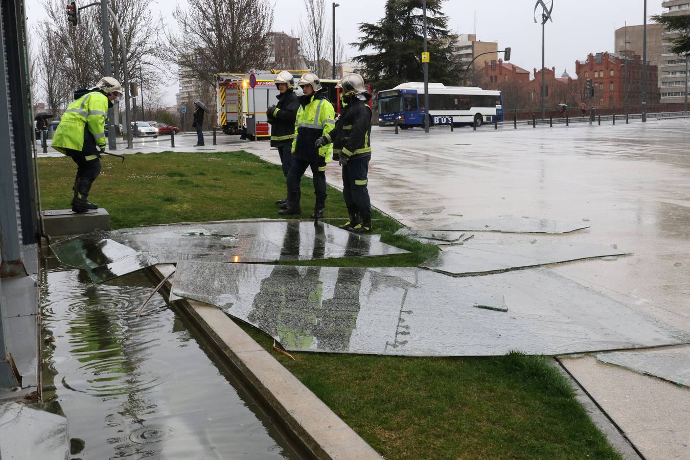 Una persona ha resultado herida en el Paseo de Zorrilla de Valladolid, a la altura del cruce con la Avenida de Zamora, tras ser alcanzado por un árbol en la cabeza