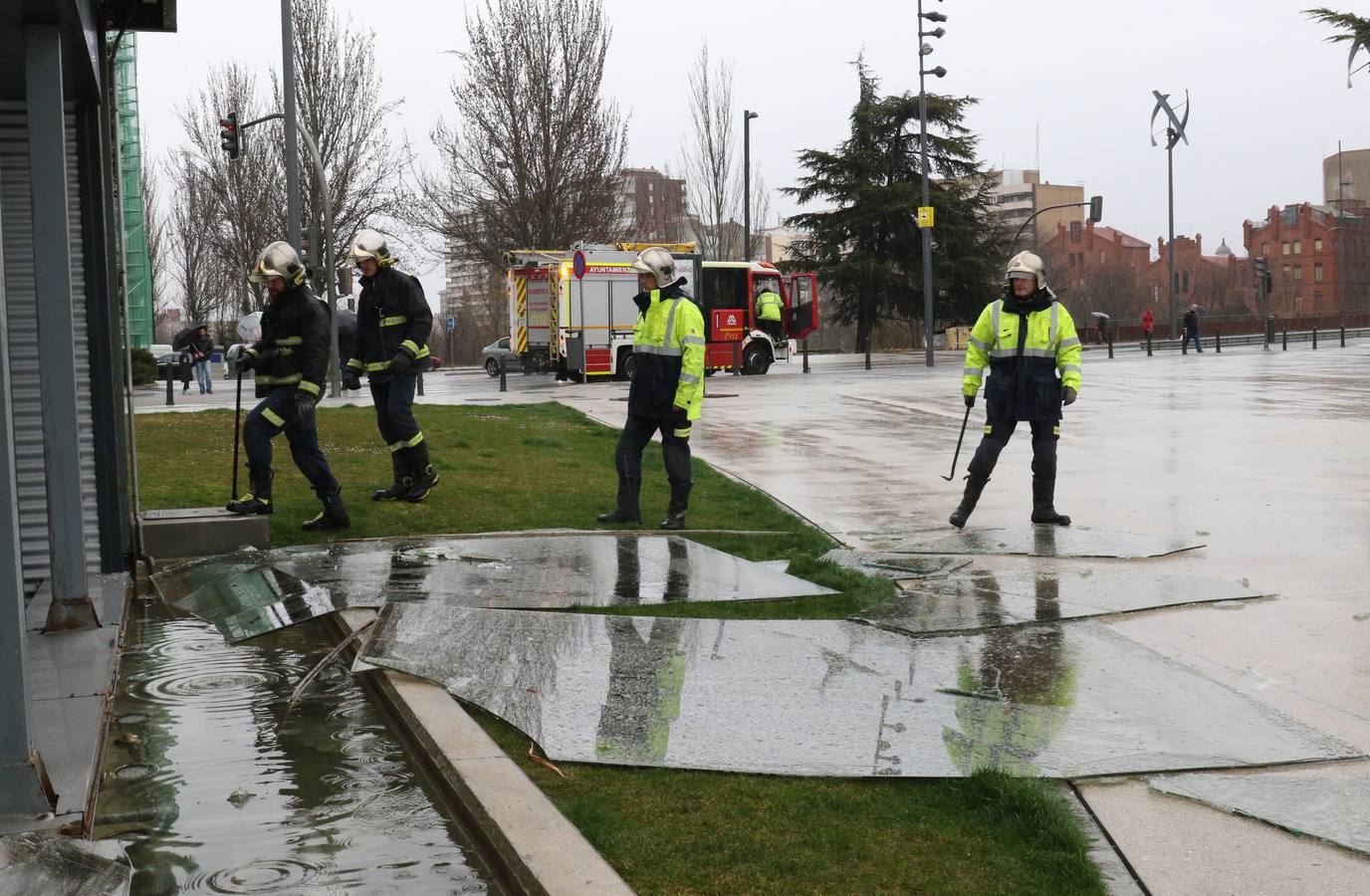 Una persona ha resultado herida en el Paseo de Zorrilla de Valladolid, a la altura del cruce con la Avenida de Zamora, tras ser alcanzado por un árbol en la cabeza
