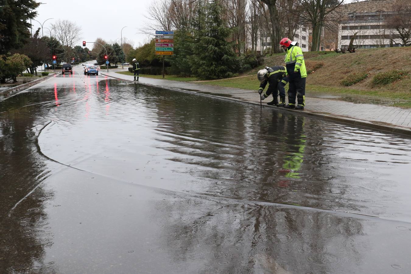 Una persona ha resultado herida en el Paseo de Zorrilla de Valladolid, a la altura del cruce con la Avenida de Zamora, tras ser alcanzado por un árbol en la cabeza