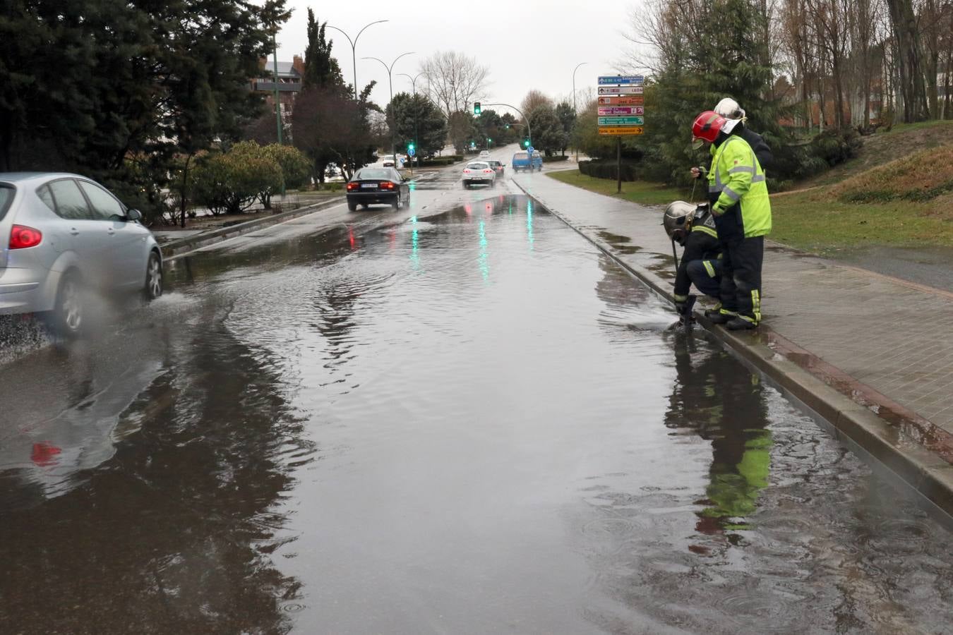 Una persona ha resultado herida en el Paseo de Zorrilla de Valladolid, a la altura del cruce con la Avenida de Zamora, tras ser alcanzado por un árbol en la cabeza