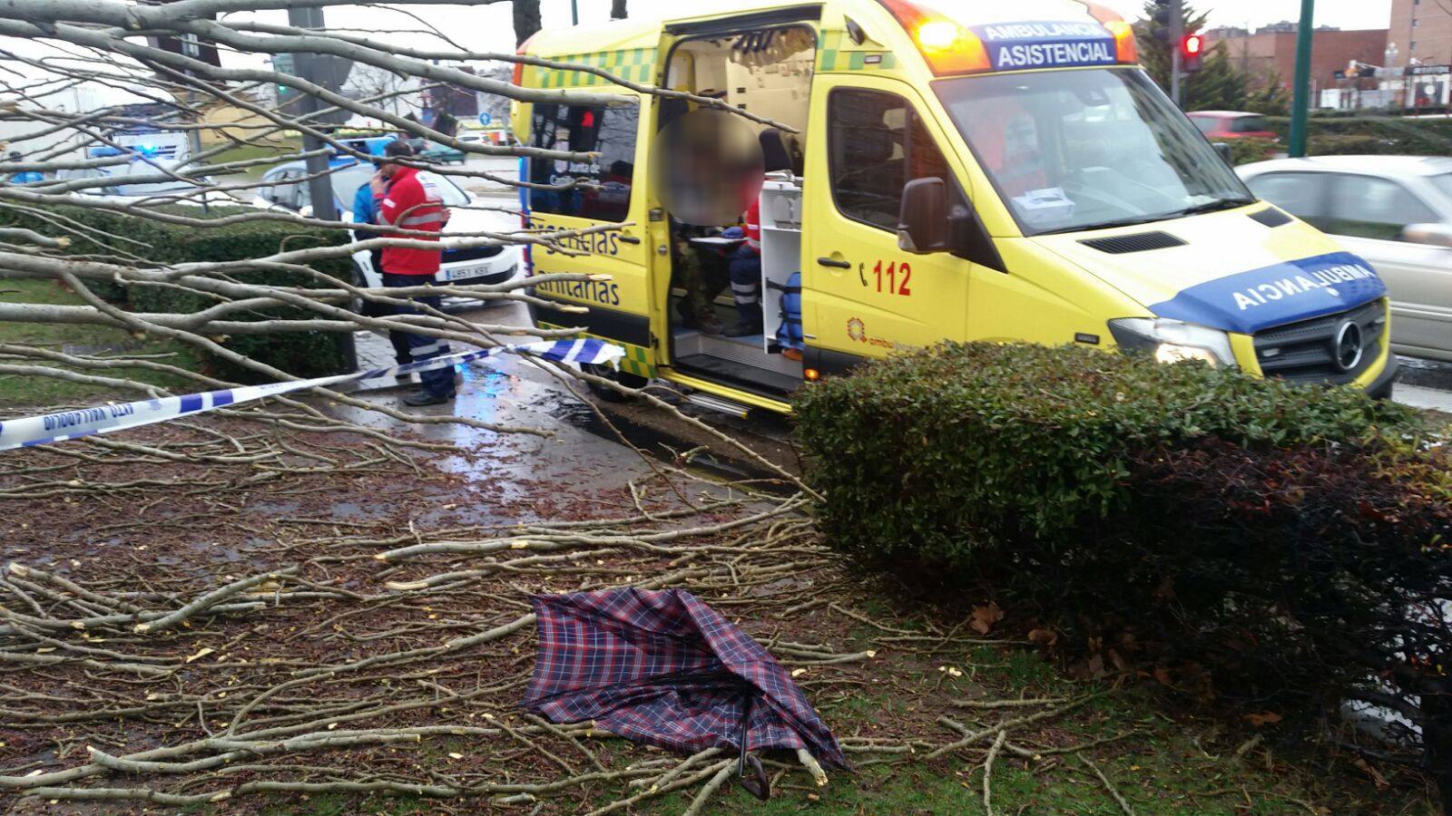 Una persona ha resultado herida en el Paseo de Zorrilla de Valladolid, a la altura del cruce con la Avenida de Zamora, tras ser alcanzado por un árbol en la cabeza