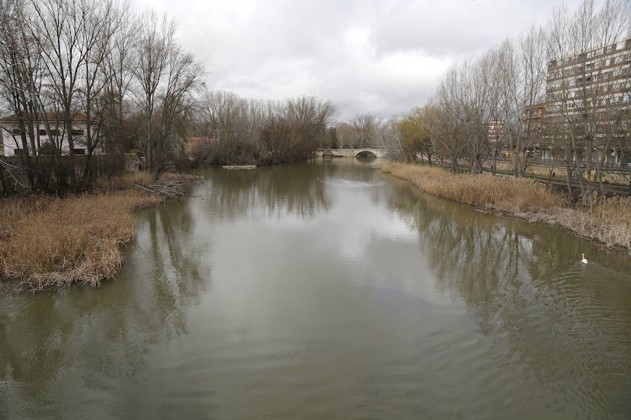 Fotos: Aguacero en la ciudad de Palencia