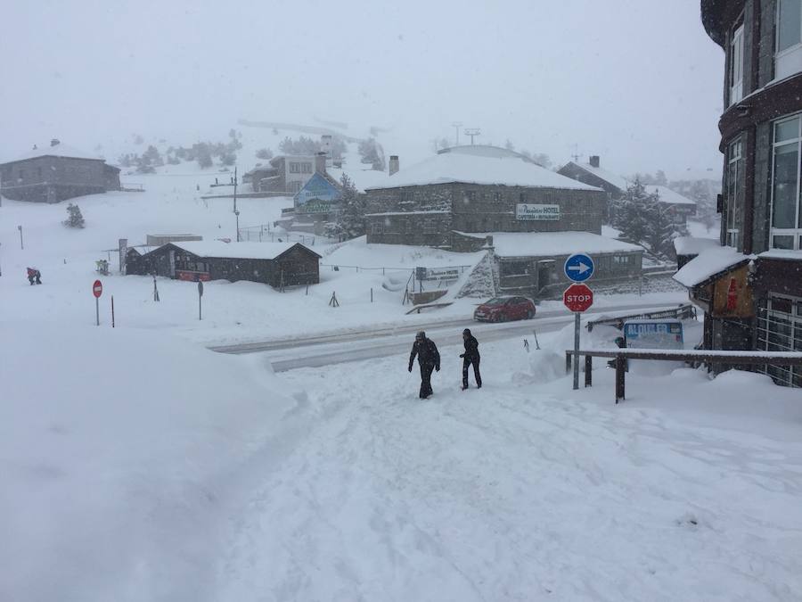 Fotos: Nieve en El Espinar y en el Puerto de Navacerrada