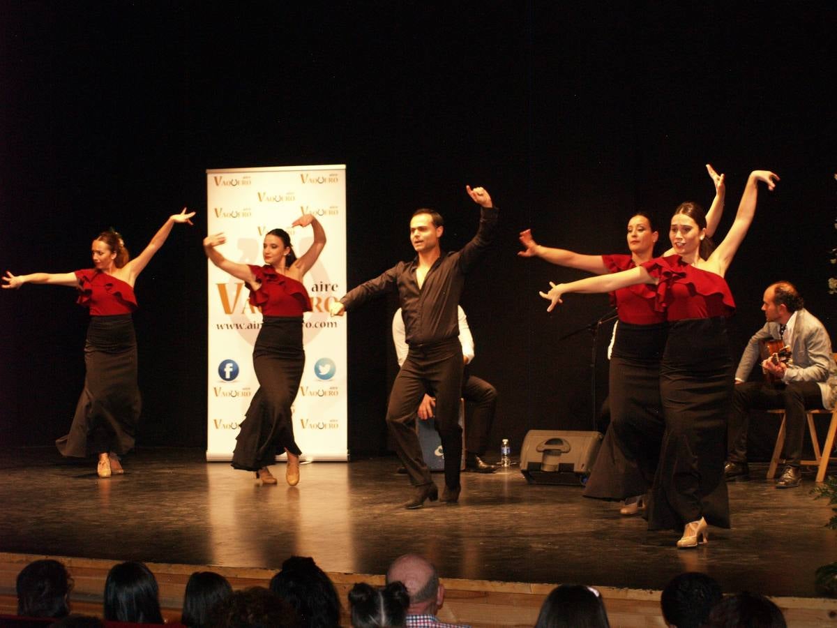 El evento, que celebró este año su segunda edición, fue organizado por Aire Vaquero para luchar contra el cáncer