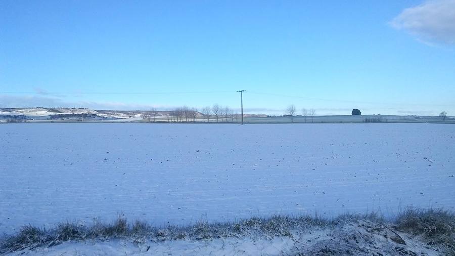 Fotos: La nieve tiñe de blanco el Cerrato palentino