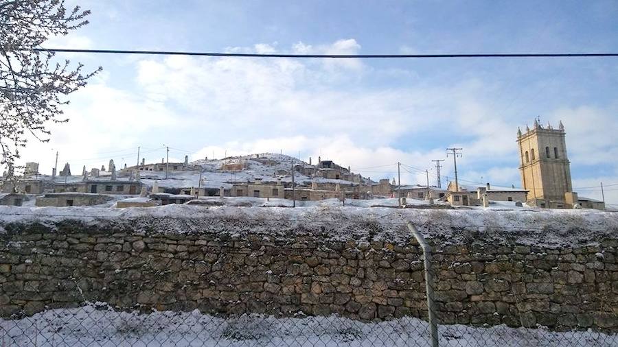 Fotos: La nieve tiñe de blanco el Cerrato palentino