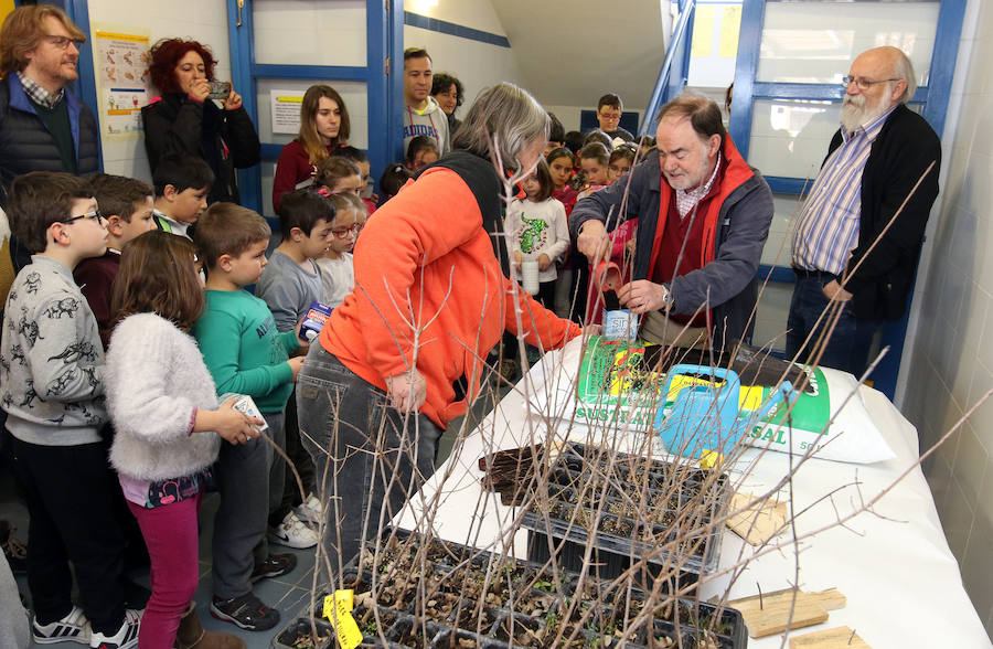 Fotos: Día del Árbol en el colegio Elena Fortun