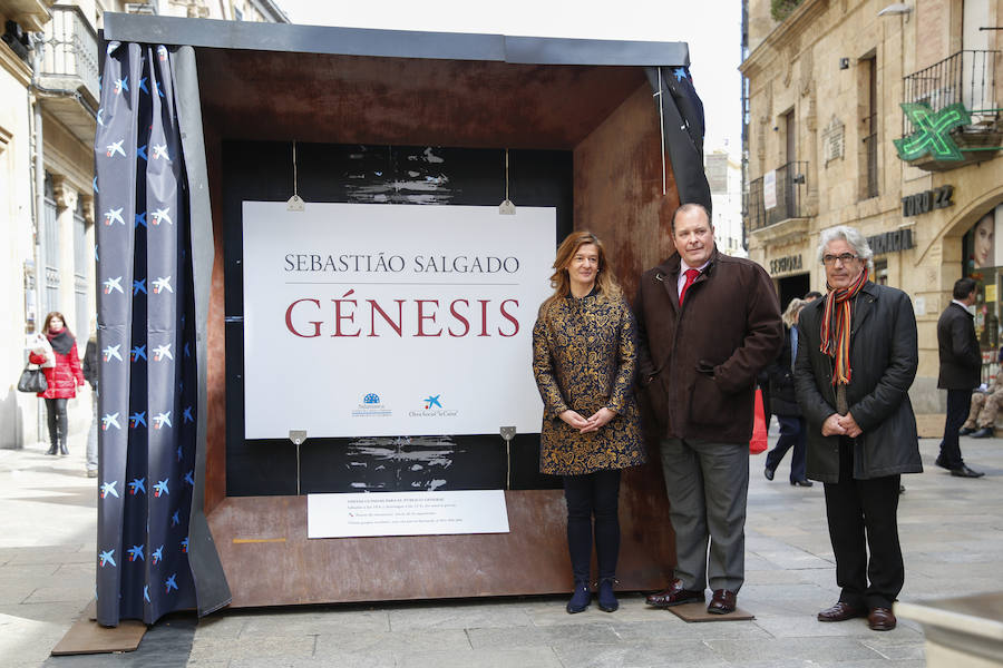 Una selección de 38 instantáneas de cinco lugares diferentes del planeta, apenas explorados por el ser humano, que se encuentra sobre grandes soportes metálicos en la plaza del Liceo y en la calle Toro