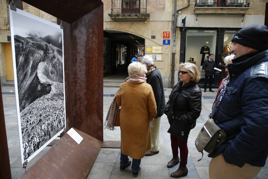 Una selección de 38 instantáneas de cinco lugares diferentes del planeta, apenas explorados por el ser humano, que se encuentra sobre grandes soportes metálicos en la plaza del Liceo y en la calle Toro