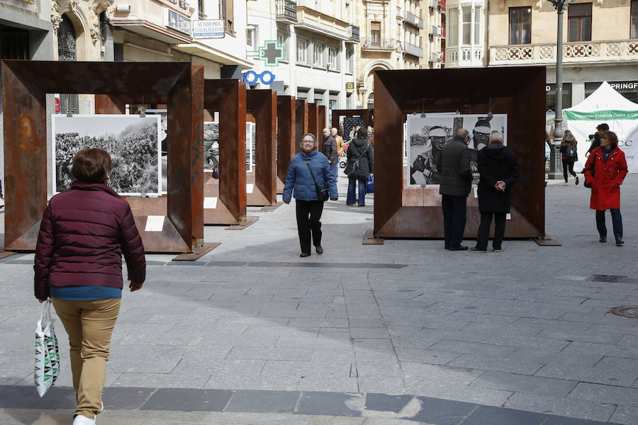 Una selección de 38 instantáneas de cinco lugares diferentes del planeta, apenas explorados por el ser humano, que se encuentra sobre grandes soportes metálicos en la plaza del Liceo y en la calle Toro