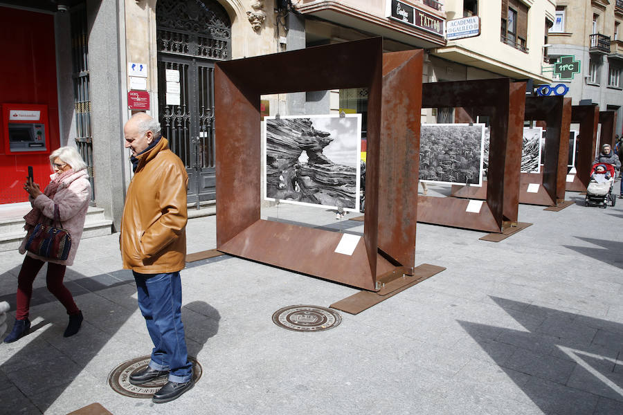 Una selección de 38 instantáneas de cinco lugares diferentes del planeta, apenas explorados por el ser humano, que se encuentra sobre grandes soportes metálicos en la plaza del Liceo y en la calle Toro