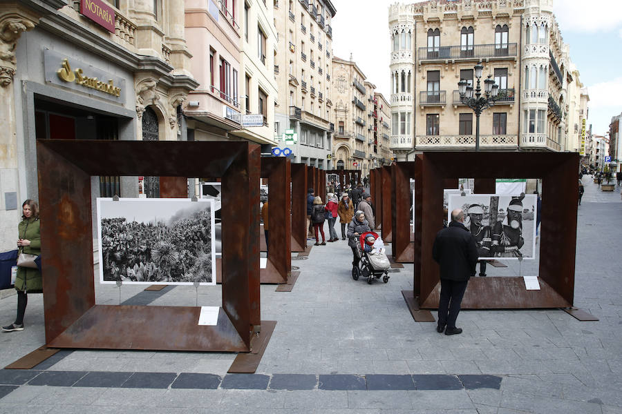 Una selección de 38 instantáneas de cinco lugares diferentes del planeta, apenas explorados por el ser humano, que se encuentra sobre grandes soportes metálicos en la plaza del Liceo y en la calle Toro