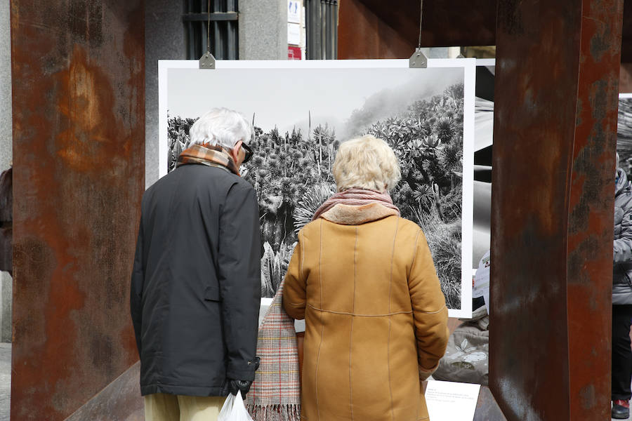 Una selección de 38 instantáneas de cinco lugares diferentes del planeta, apenas explorados por el ser humano, que se encuentra sobre grandes soportes metálicos en la plaza del Liceo y en la calle Toro