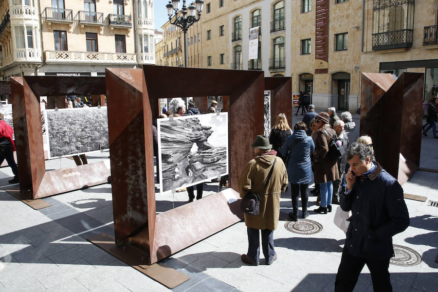 Una selección de 38 instantáneas de cinco lugares diferentes del planeta, apenas explorados por el ser humano, que se encuentra sobre grandes soportes metálicos en la plaza del Liceo y en la calle Toro