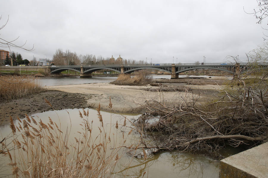 Fotos: Cauce del Tormes tras la rotura de una de las pesqueras que controlan el volumen y el flujo de agua