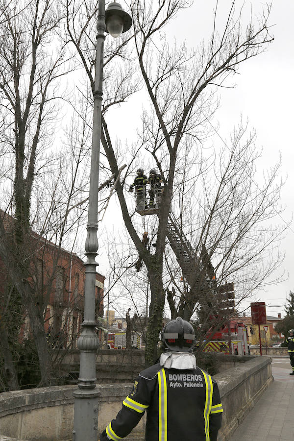 Fotos: La borrasca Hugo se hace notar en Palencia