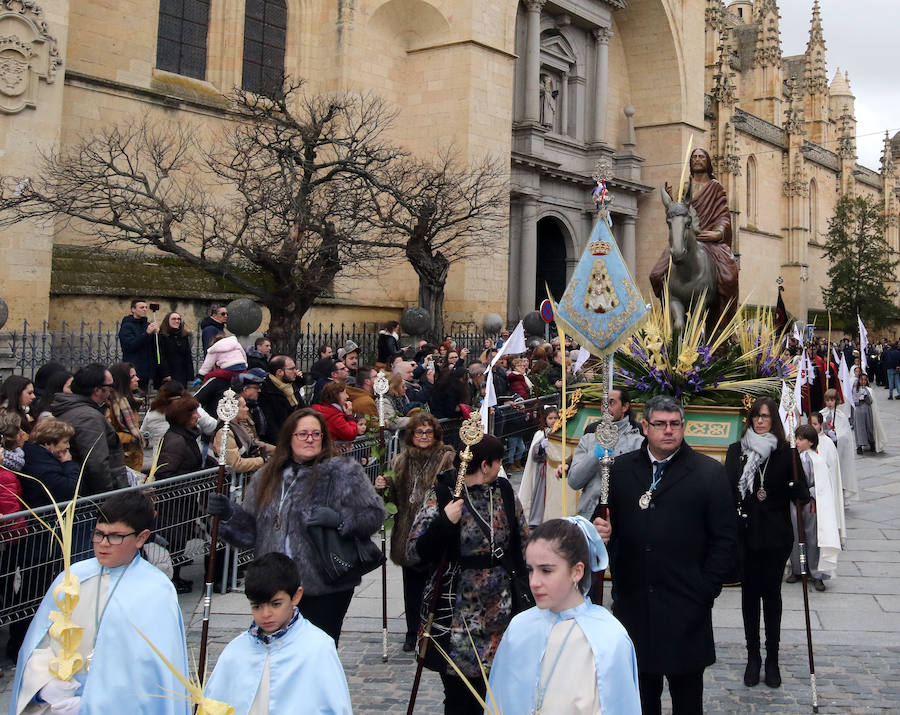 Fotos: Celebración del Domingo de Ramos en Segovia