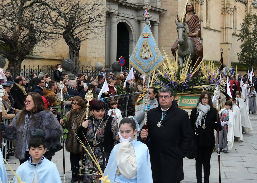 Fotos: Celebración del Domingo de Ramos en Segovia