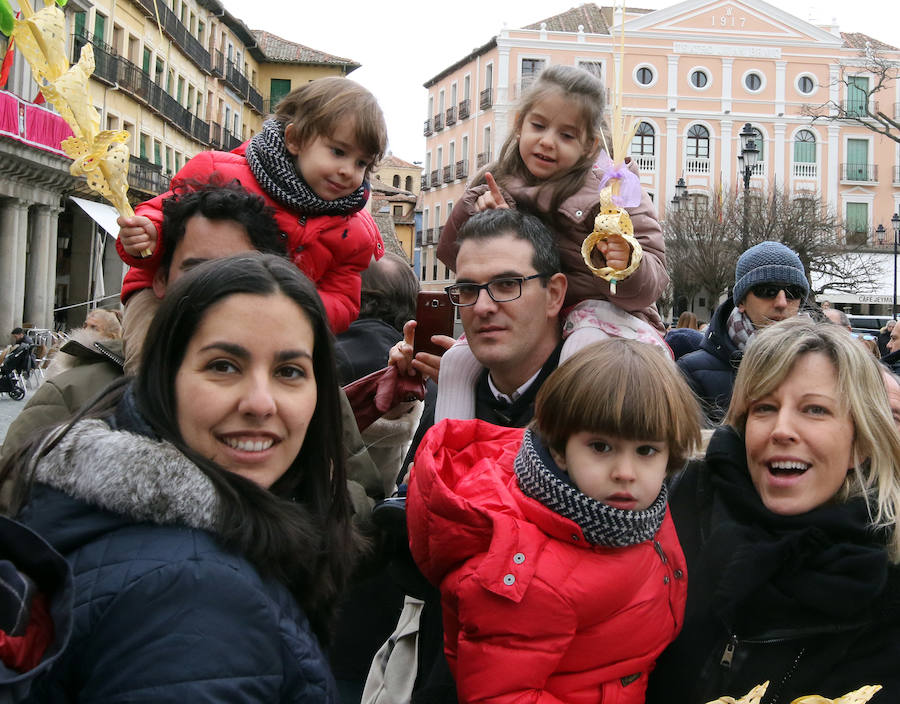 Fotos: Celebración del Domingo de Ramos en Segovia