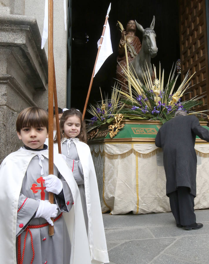 Fotos: Celebración del Domingo de Ramos en Segovia