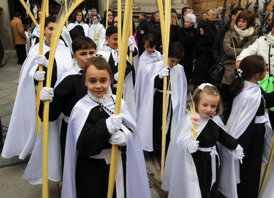Fotos: Celebración del Domingo de Ramos en Segovia