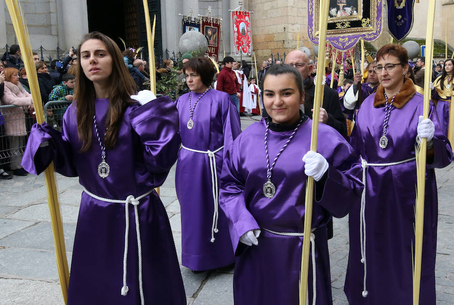 Fotos: Celebración del Domingo de Ramos en Segovia