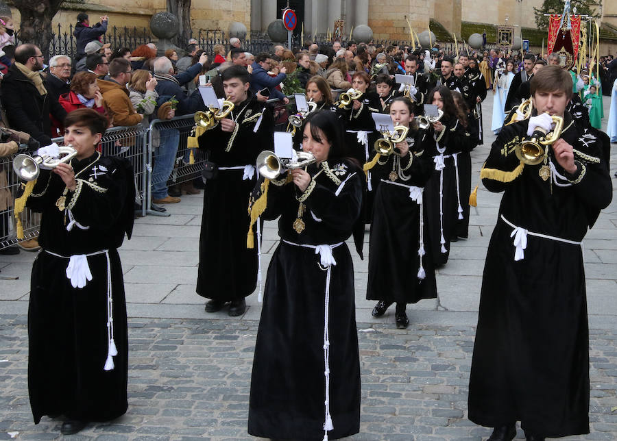 Fotos: Celebración del Domingo de Ramos en Segovia