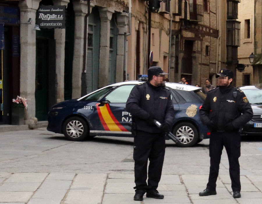 Fotos: Celebración del Domingo de Ramos en Segovia
