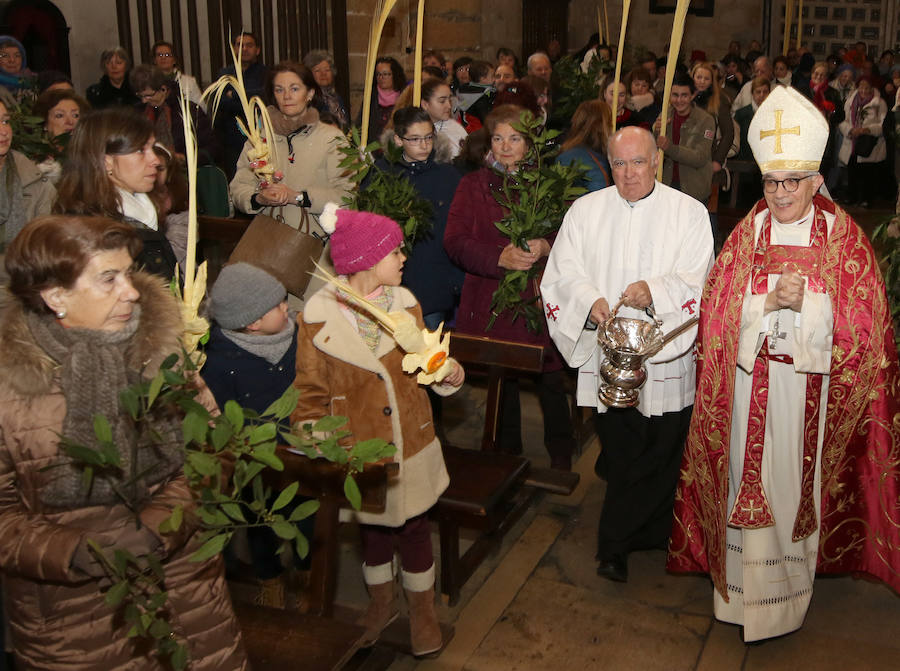 Fotos: Celebración del Domingo de Ramos en Segovia