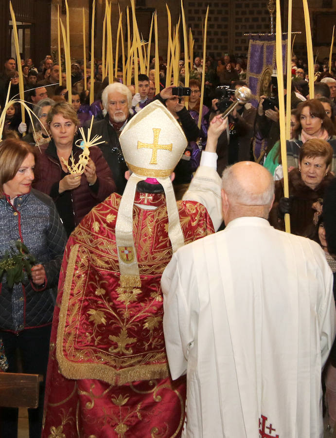 Fotos: Celebración del Domingo de Ramos en Segovia