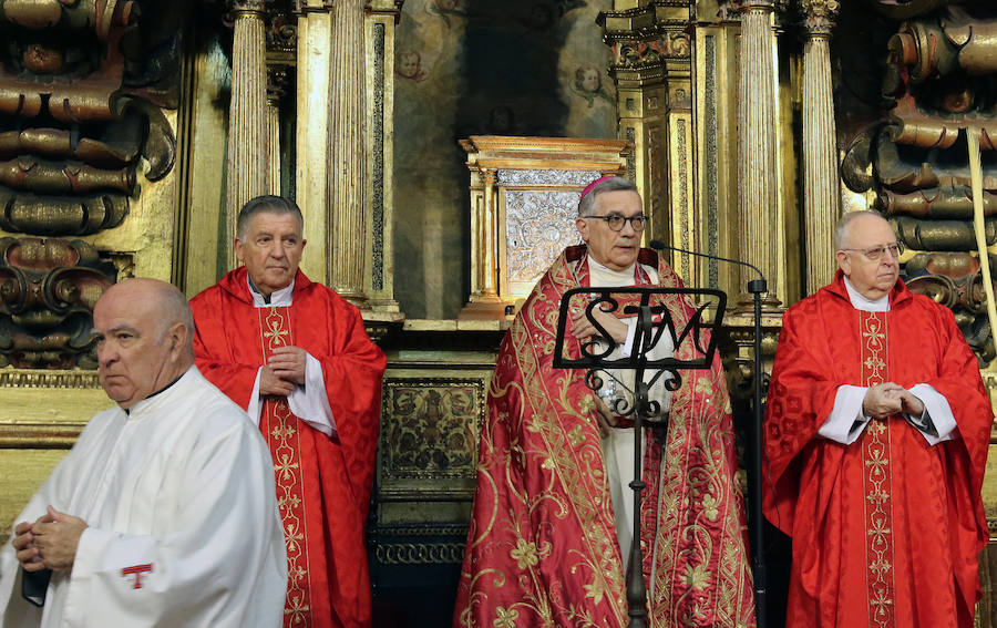 Fotos: Celebración del Domingo de Ramos en Segovia