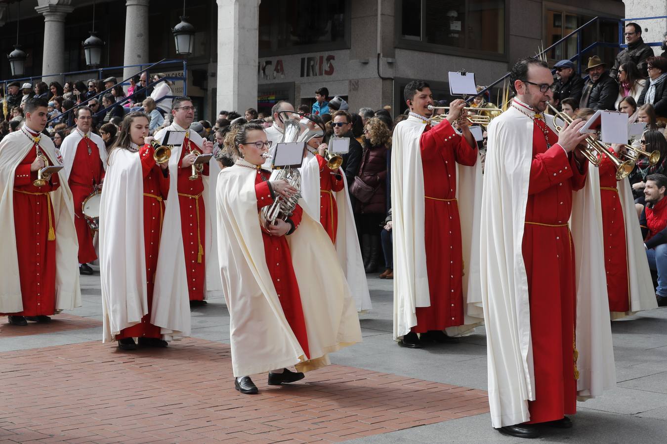 Fotos: Público en la Procesión del Domingo de Ramos en Valladolid (2/2)