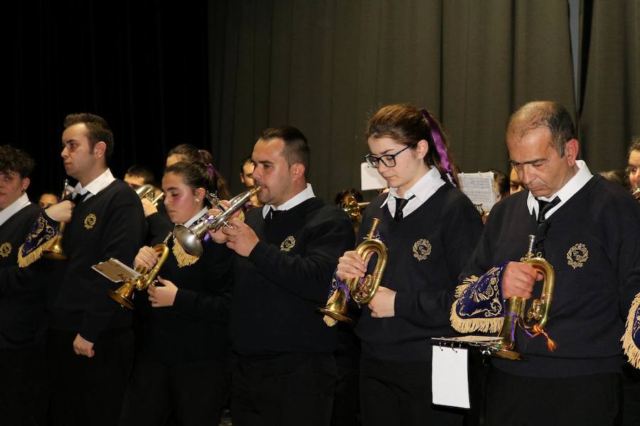 Fotos: Pórtico Musical en Baltanás