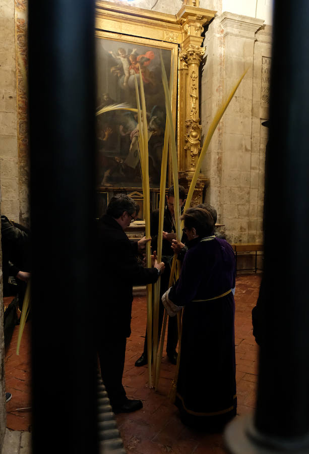 Fotos: Procesión de &#039;La borriquilla&#039; en Valladolid