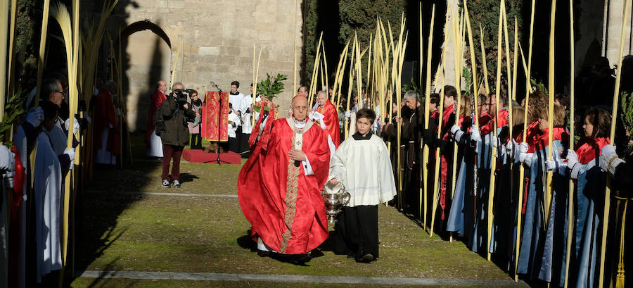 Fotos: Procesión de &#039;La borriquilla&#039; en Valladolid