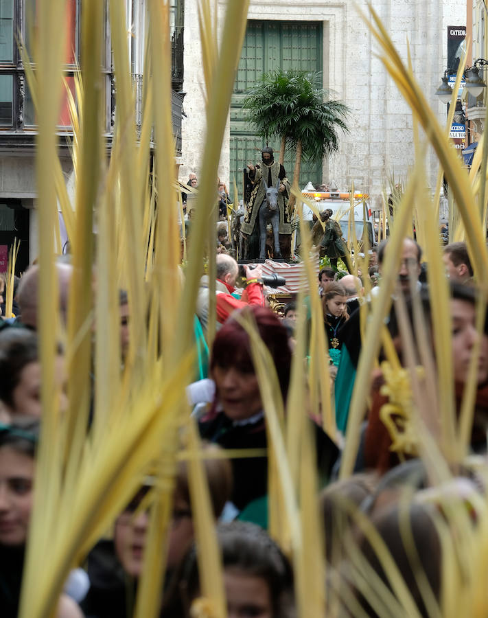 Fotos: Procesión de &#039;La borriquilla&#039; en Valladolid