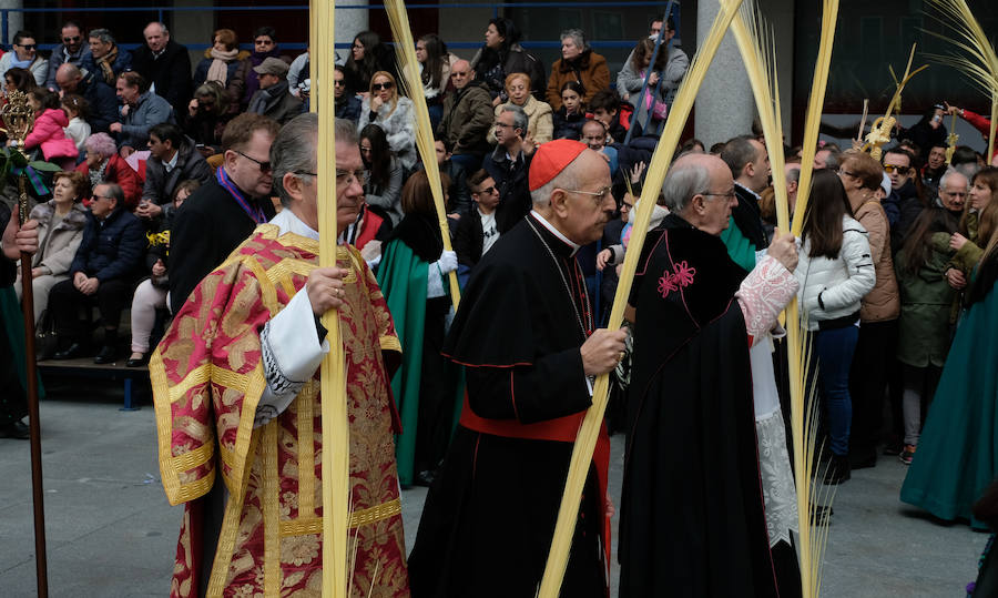 Fotos: Procesión de &#039;La borriquilla&#039; en Valladolid