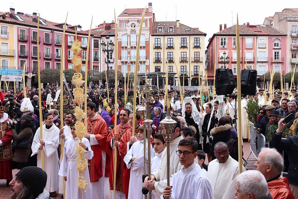 Fotos: Las imágenes de la Procesión de Jesús en La Borriquilla