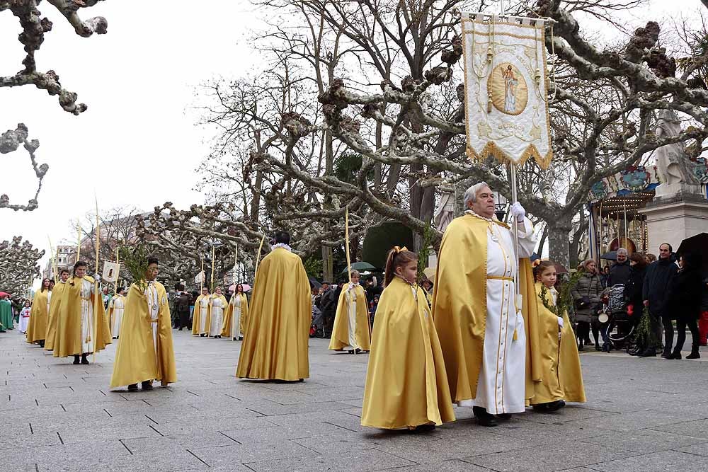 Fotos: Las imágenes de la Procesión de Jesús en La Borriquilla