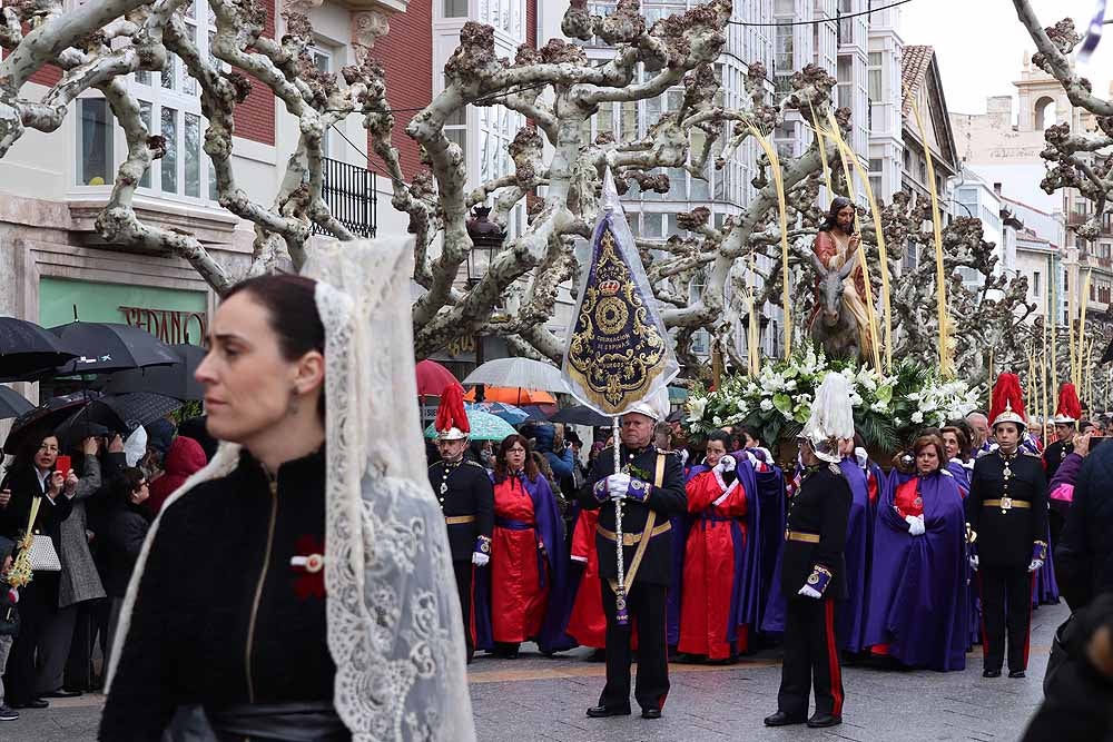 Fotos: Las imágenes de la Procesión de Jesús en La Borriquilla