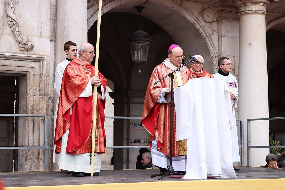 Fotos: Las imágenes de la Procesión de Jesús en La Borriquilla